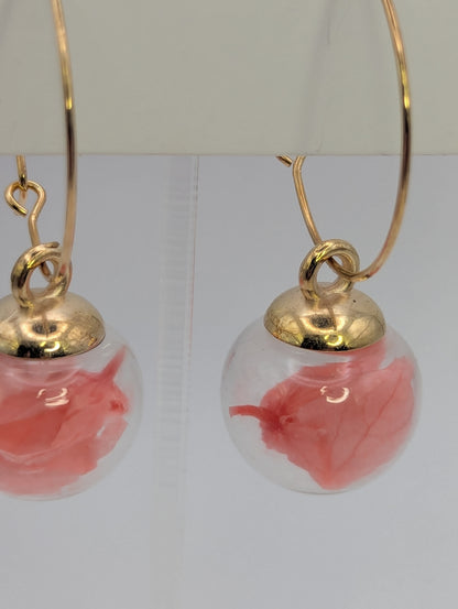 Coral Petals in Glass Globes on Large Gold Hoops