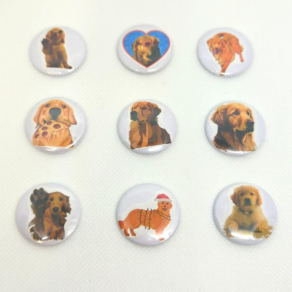 Golden Retriever Magnet Set