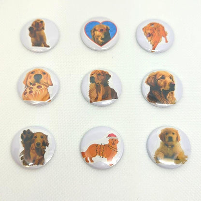 Golden Retriever Magnet Set