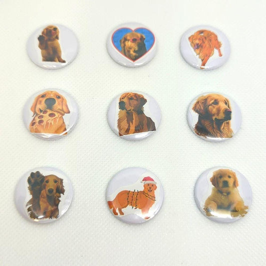 Golden Retriever Magnet Set