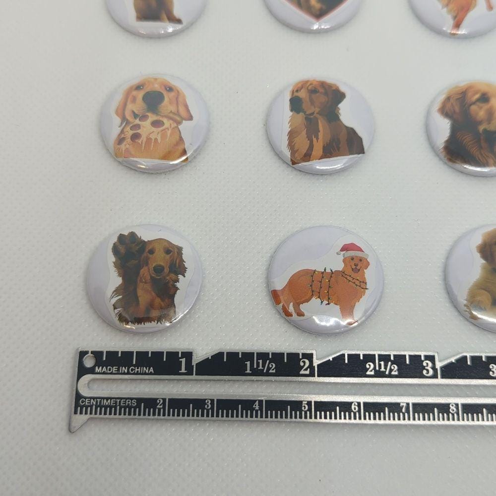Golden Retriever Magnet Set