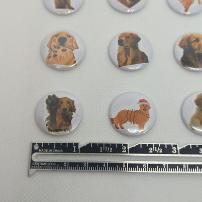 Golden Retriever Magnet Set